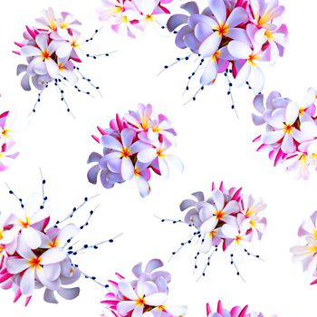 484879-欧美流行时尚手绘清爽  热带花卉印