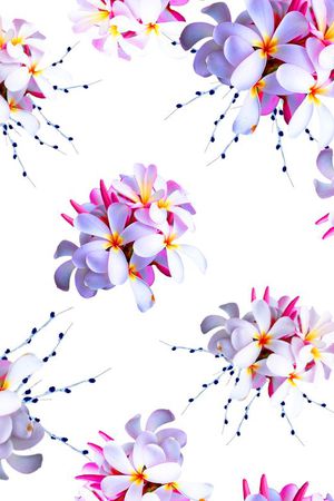 流行时尚印花华亿平台图片