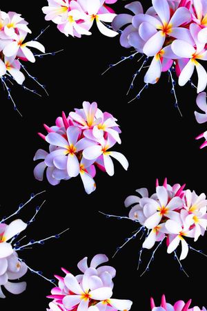 流行时尚印花华亿平台图片