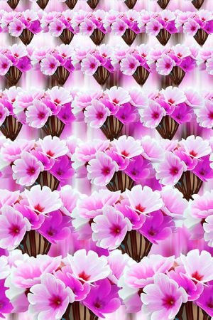 流行时尚印花华亿平台图片