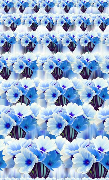 484895-欧美流行时尚幻彩底纹渐变清爽花卉印