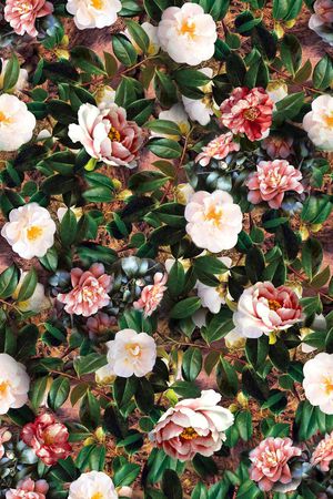 复古花印花华亿平台图片