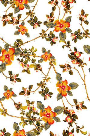 手绘 工笔画 中国风 花卉 树枝印花华亿平台图片