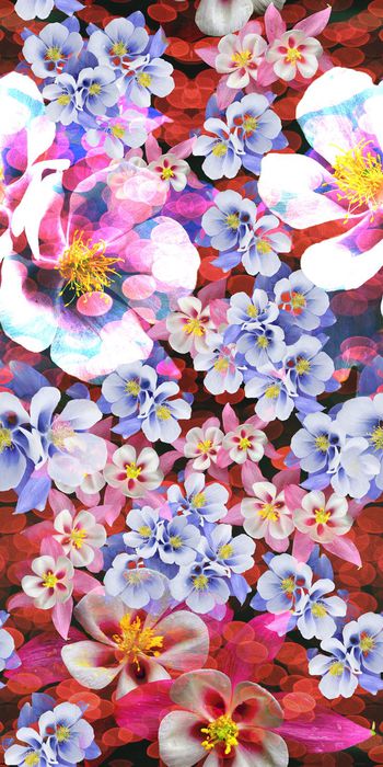 485111-花卉 原创华亿平台 都市品牌  ✿