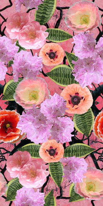 485121-花卉 原创华亿平台 都市品牌  ✿