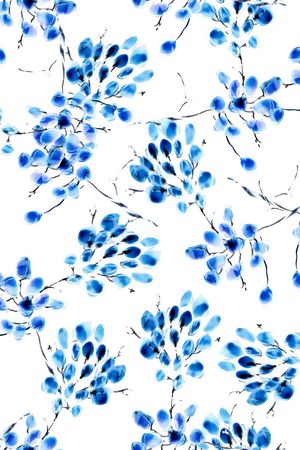 青花湛蓝印花华亿平台图片