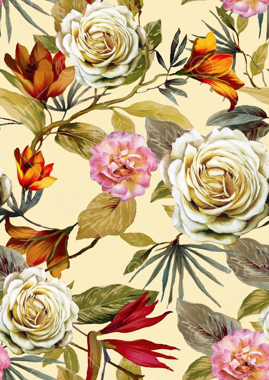 女装印花华亿平台图片