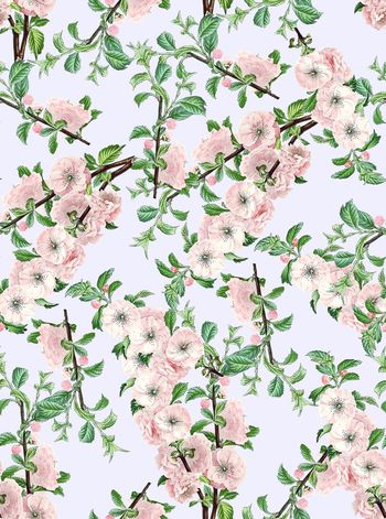 485383-小花花卉纯底素色小花米黄底年轻大牌