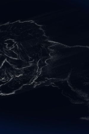 狮子印花华亿平台图片