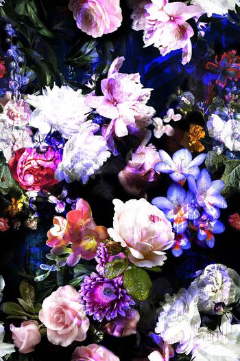 485477-时尚数码写实花卉组合