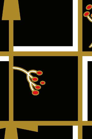 男装外套华亿平台印花华亿平台图片