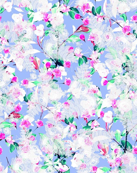 蕾丝印花华亿平台图片