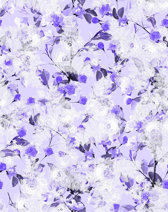 蕾丝印花华亿平台图片