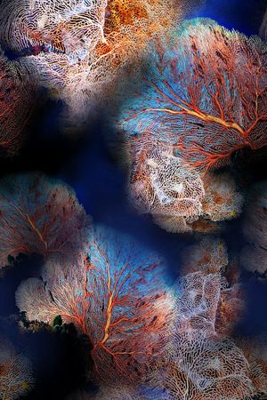 抽象印花华亿平台图片