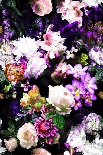 485515-时尚数码写实花卉组合