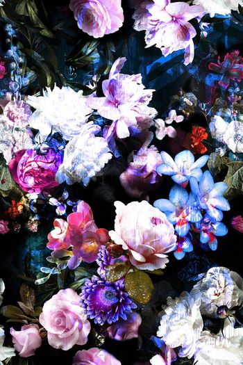 485516-时尚数码写实花卉组合