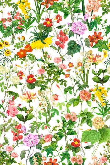 485570-田园风满布花卉组合