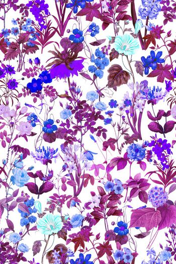 485571-田园风满布花卉组合