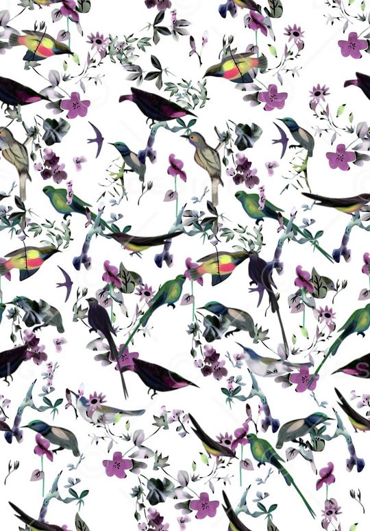 鸟印花华亿平台图片