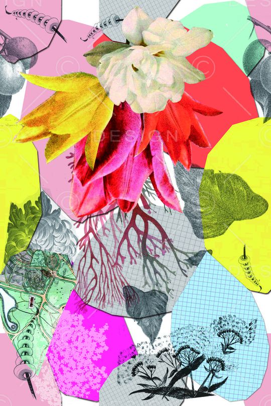 休闲印花华亿平台图片