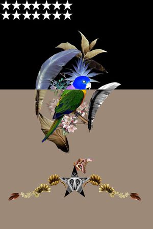 芭蕉印花华亿平台图片