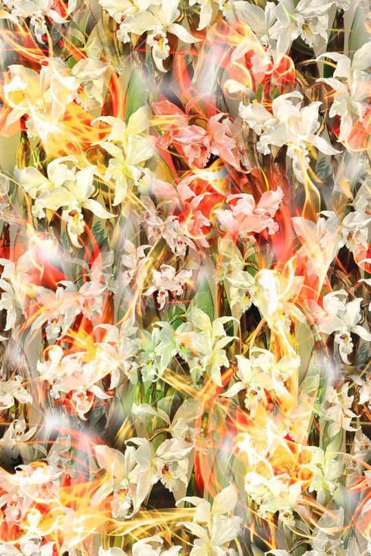 多彩印花华亿平台图片