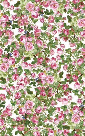 485846-欧美流行油画粉色玫瑰