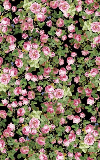 485847-欧美流行油画粉色玫瑰