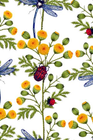 流行时尚印花华亿平台图片