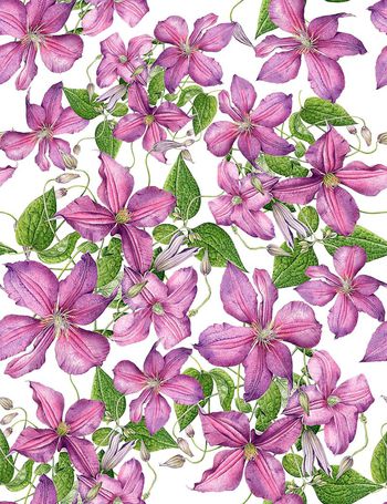 485873-流行时尚手绘紫藤花