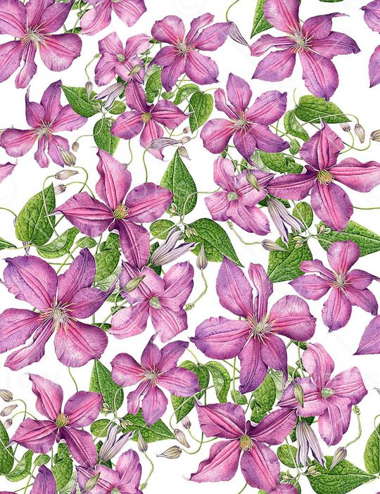 流行时尚印花华亿平台图片