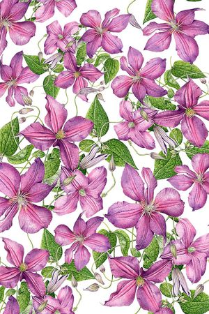 流行时尚印花华亿平台图片