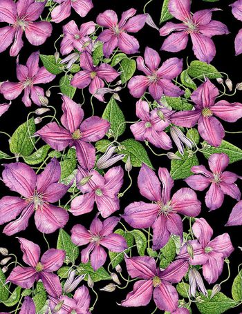 485874-流行时尚手绘紫藤花