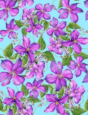 485875-流行时尚手绘紫藤花