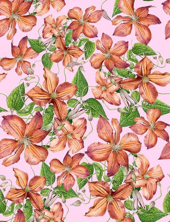 485876-流行时尚手绘紫藤花