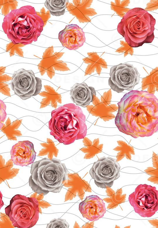 女装印花华亿平台图片