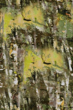 树林印花华亿平台图片