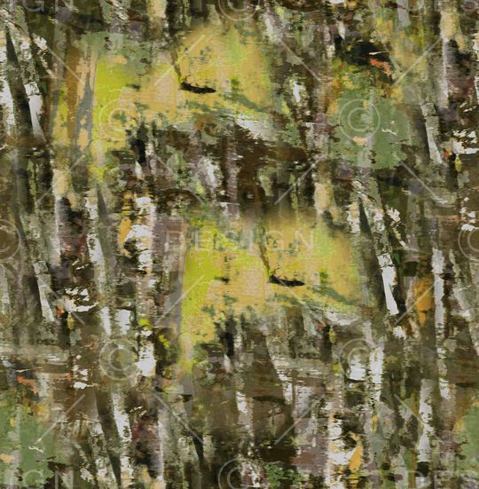 树林印花华亿平台图片