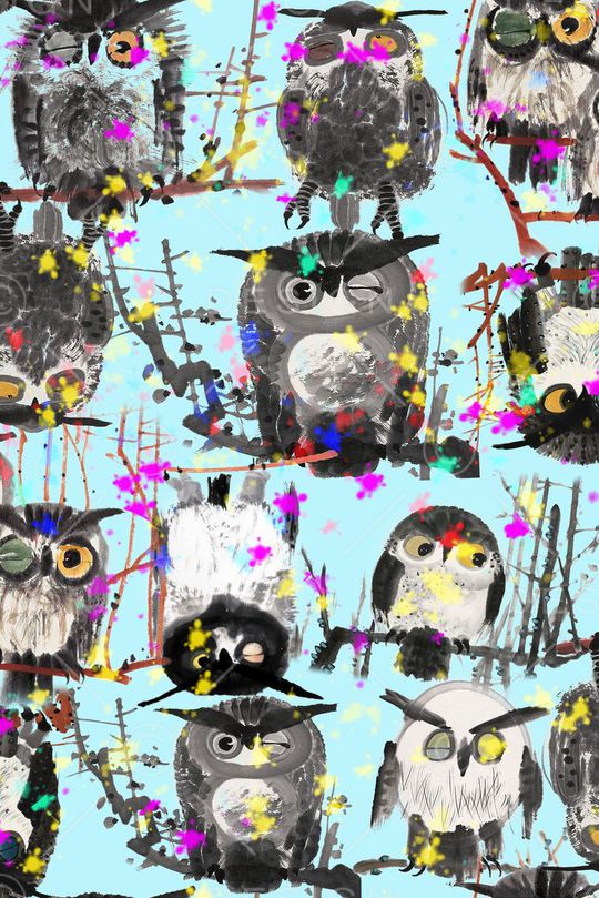 猫头鹰印花华亿平台图片