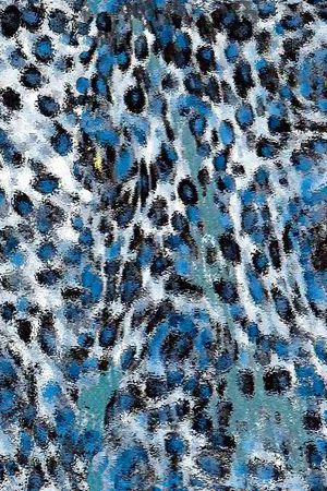 迷彩纹印花华亿平台图片