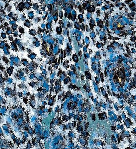 迷彩纹印花华亿平台图片