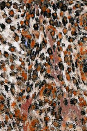 迷彩纹印花华亿平台图片