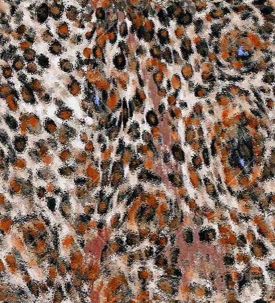 迷彩纹印花华亿平台图片