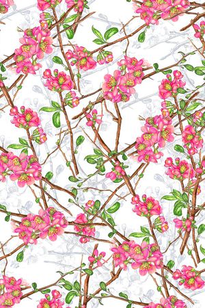 满花印花华亿平台图片