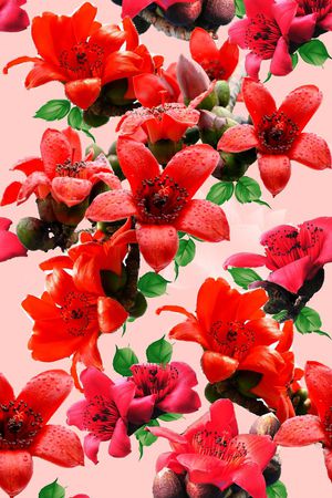 潮流印花华亿平台图片