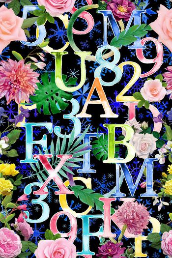 486229-雪花字母花卉组合