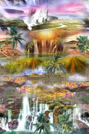 热带印花华亿平台图片