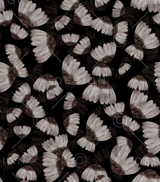 潮流时尚印花华亿平台图片