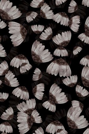 潮流时尚印花华亿平台图片