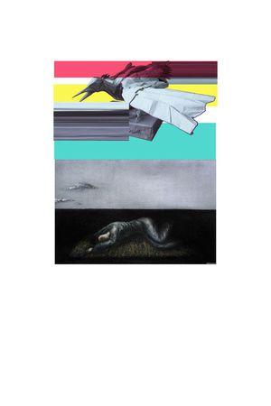 t恤华亿平台印花华亿平台图片